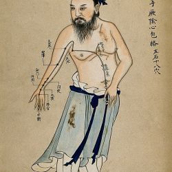 Prendre rendez-vous en ligne avec Marion BROUSSE - Energétique Traditionnelle Chinoise
