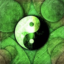 Prendre rendez-vous en ligne avec Sébastien MAZEAU - Energétique Traditionnelle Chinoise