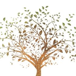 Prendre rendez-vous en ligne avec Lauriane PEREZ - Psychologue clinicien